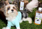A small dog laying on the grass with two bottles of makani pet wash